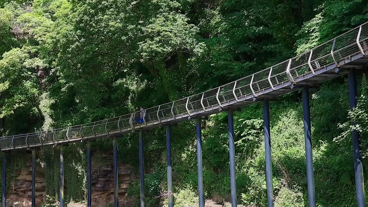 espectacular pasarela del milenio