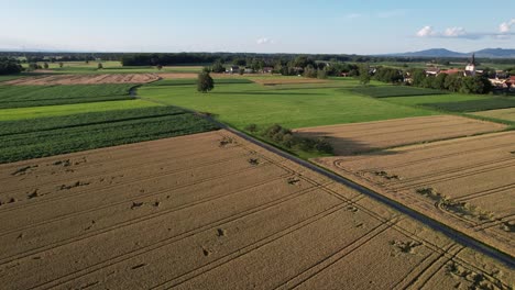 Drone-flight-over-a-corn-field-near-a-village-during-sunset