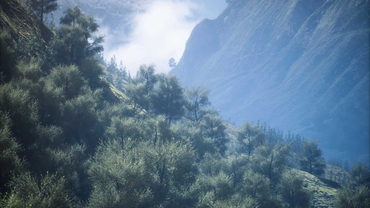 Lush green mountains and misty valleys create a breathtaking landscape