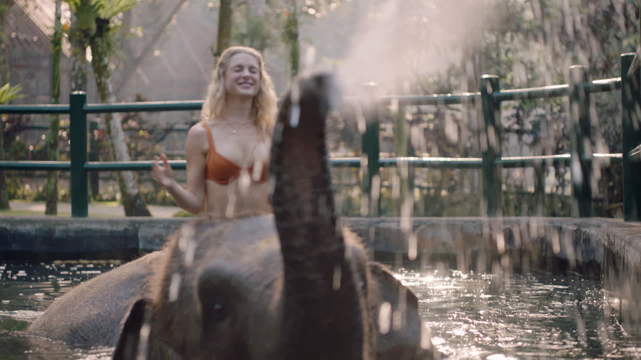красивая женщина едет на слоне в зоопарке, играет в бассейне, распыляет воду, туристка веселится на экзотическом отдыхе в тропическом лесу.