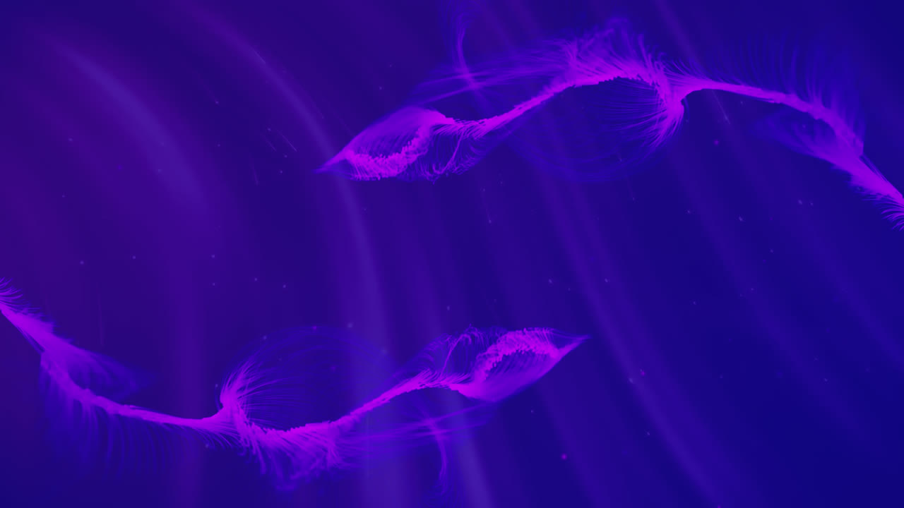 senderos púrpuras sobre fondo azul y retroceso