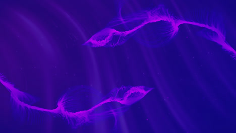 purple trails on blue background and rollback