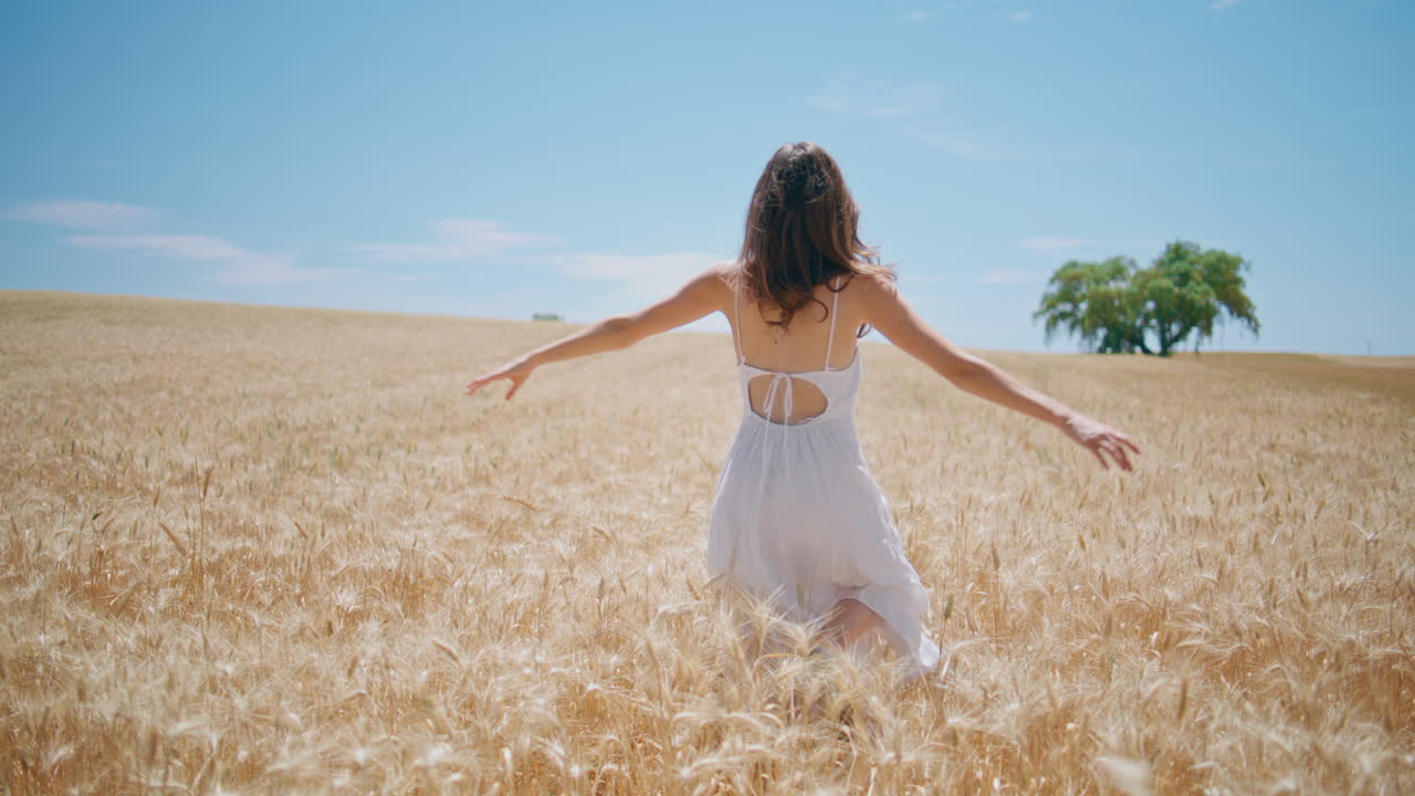 Feminine lady touching wheat field enjoying summer. Carefree girl spinning alone