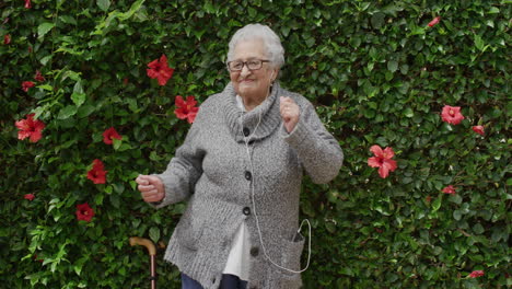 portrait of cheerful elderly woman dancing wearing earphones listening to music enjoying playful fun in beautiful green garden flower wall outdoors holding walking stick