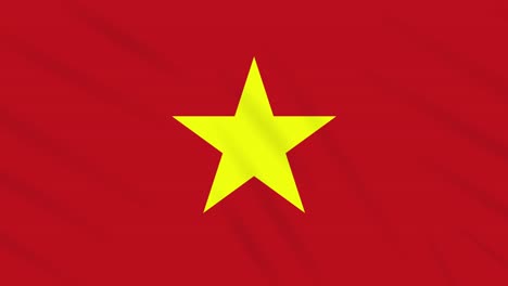 vietnam flag waving cloth, background loop