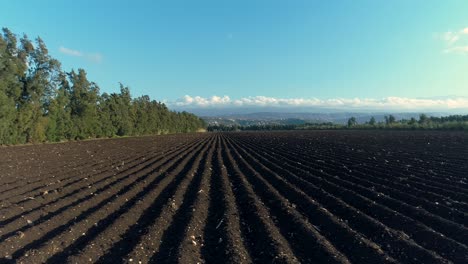 Vasto-Campo-De-Cultivo-De-Suelo-Negro-En-Un-Día-Soleado,-Fondo-De-Granja,-Dron-Aéreo-Lateral