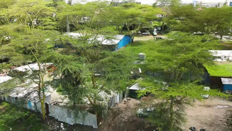 drone flying from the village in the dam estate of nairobi kenya, acacia trees in the village of nairobi