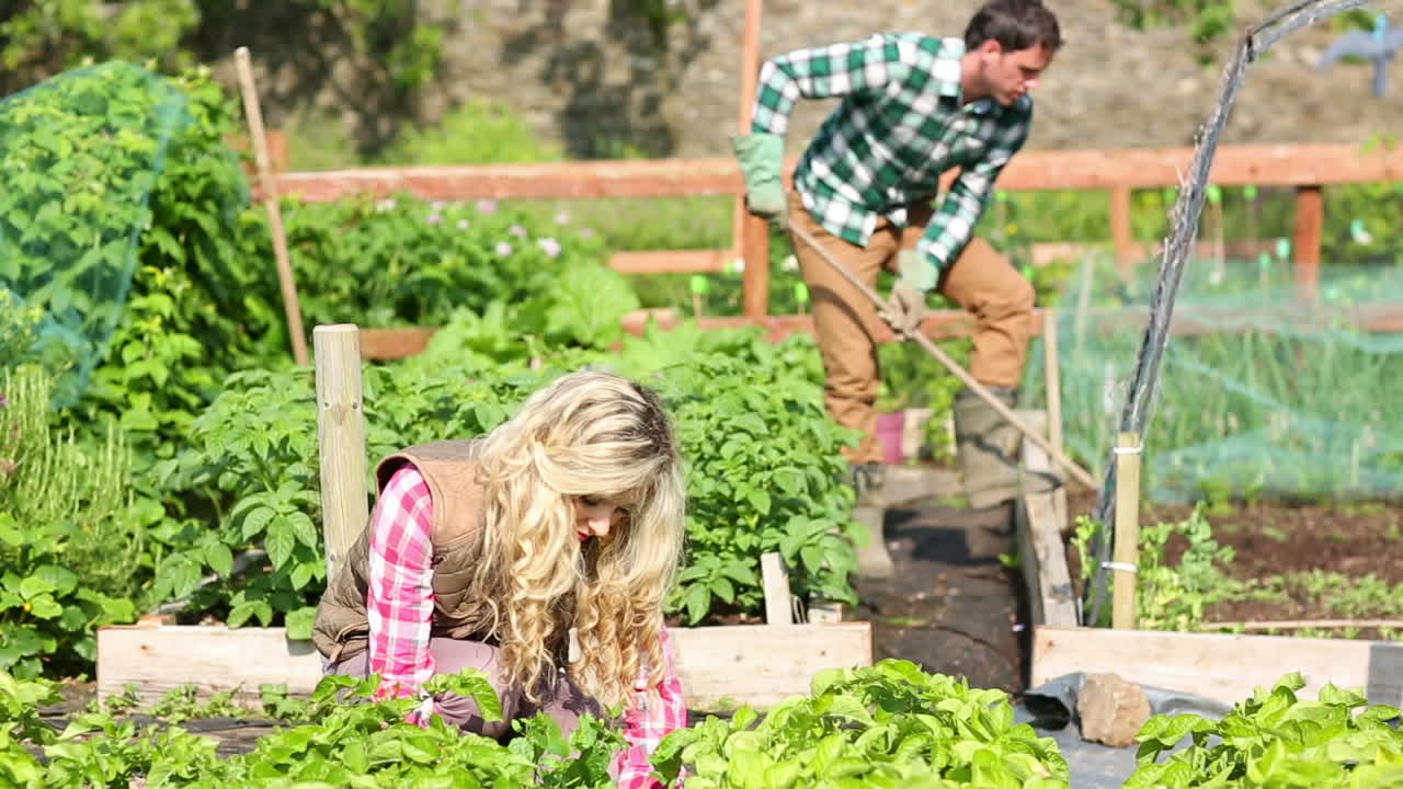 una pareja joven trabajando juntos en el jardín.