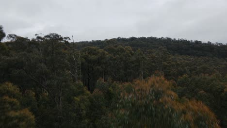 Drohnen-Steigen-Aus-Der-Luft-Auf-Und-Fliegen-An-Bewölkten-Tagen-über-Bäume-Und-Berge-In-Victoria