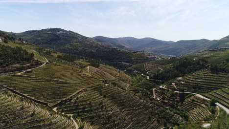 green mountain terrace vineyards in douro region north of portugal