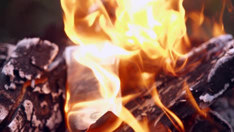 money burned in the fire. close up view of burning banknotes of money in a fireplace