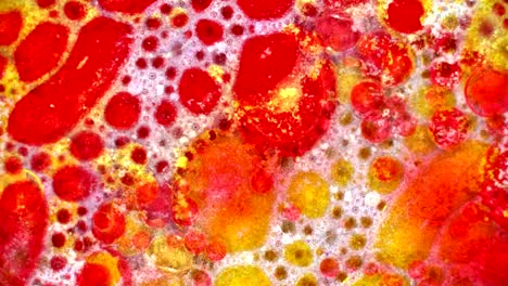 fabulous patterns