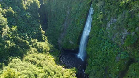 aerial view dolly out establishing in the tocoihue waterfall with a strong contrast in a place full of nature, chiloé, southern chile