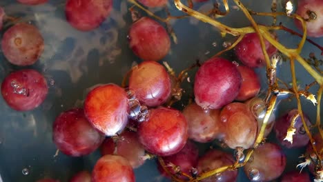 red grapes being washed in a bowl of water