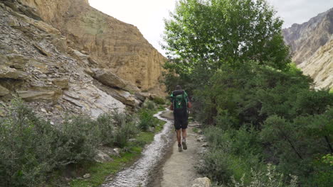 tracking shot, fallowing a hiker with backpack walking in the wilderness, next to a creek up to a mountain