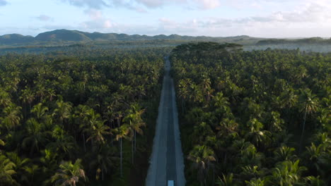 aerial view of coconut road with a van driving on it during sunrise on siargao island, philippines.