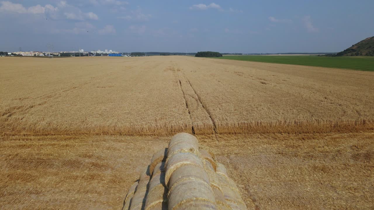 campo de grano maduro. parte del campo ha sido cosechado con una cosechadora. la paja se recoge en un rollo y se apila en una pirámide en el borde del campo. fotografía aérea.