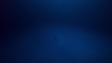 freediver saliendo de una capa brumosa de limo en una cueva submarina