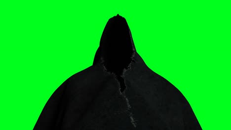 mystery fear ghost animation . dynamic hoodie. isolate. realistic 4k green screen animation.