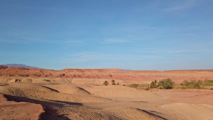 Aït Benhaddou, Marokko, historische lemen kasbah en UNESCO Werelderfgoedlocatie in een droge vallei met palmbomen en uitlopers van het Atlasgebergte, panoramisch landschapszicht
