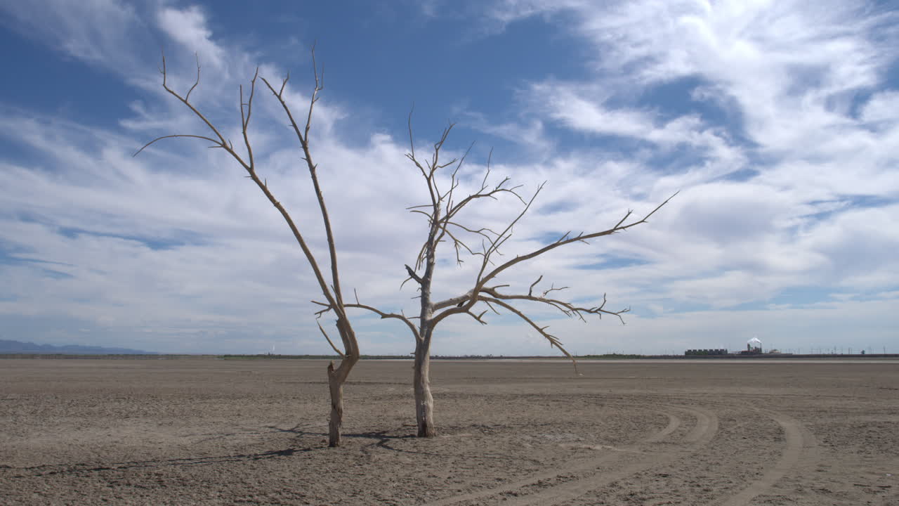 캘리포니아 살톤 바다의 레드 힐 마리나