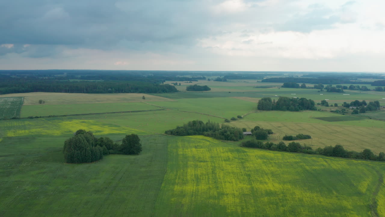 espectacular vuelo paisajístico sobre verdes llanuras planas expansivas y tierras de cultivo en el campo rural en un día de cielo nublado, letonia, enfoque aéreo superior