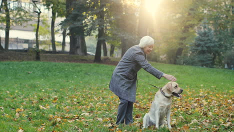 elderly woman standing in the park while petting a dog on a leash at sunset in autumn