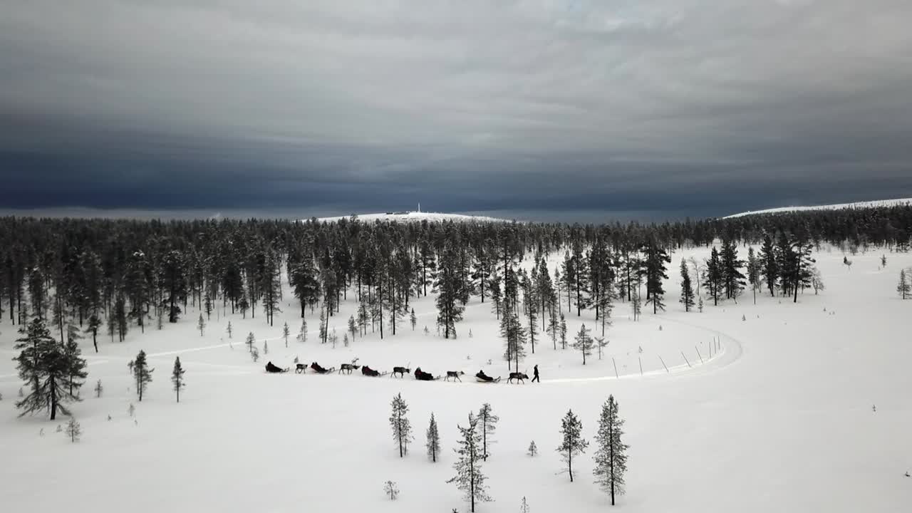 Droneutsikt over reinsledekjøring i Saariselkä, Lappland, Finland