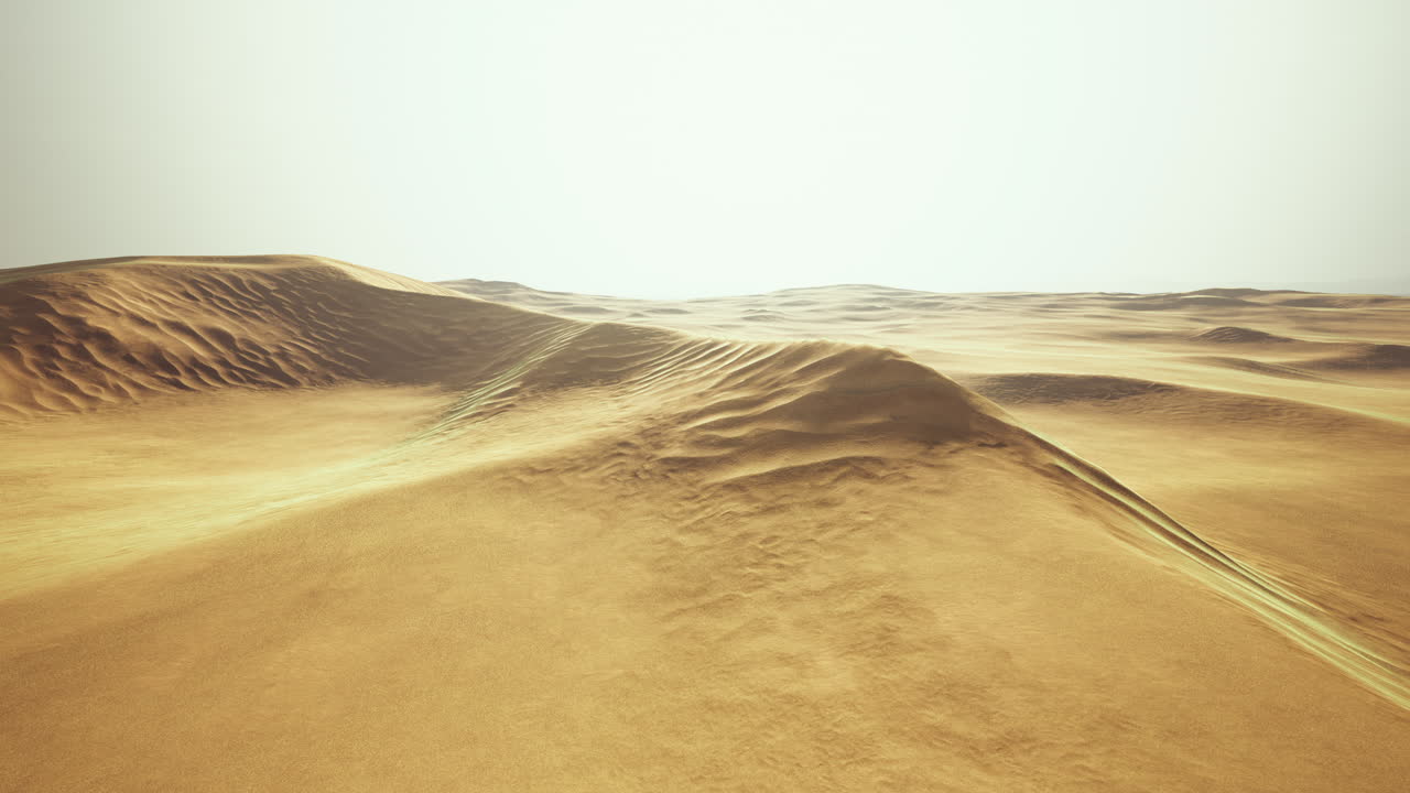 вид на красивые песчаные дюны в национальном парке песчаных дюн