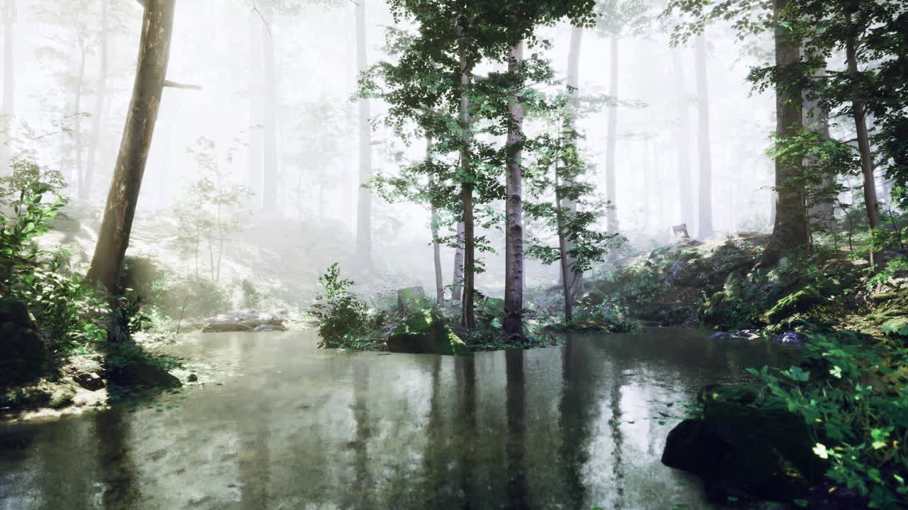 Serene forest landscape with tranquil water in a foggy environment