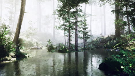 serene forest landscape with tranquil water in a foggy environment
