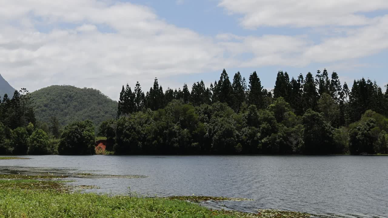 time-lapse de un lago sereno y un bosque exuberante