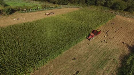 La-Máquina-Tractora-Trabaja-En-La-Vista-Aérea-Del-Campo-Agrícola