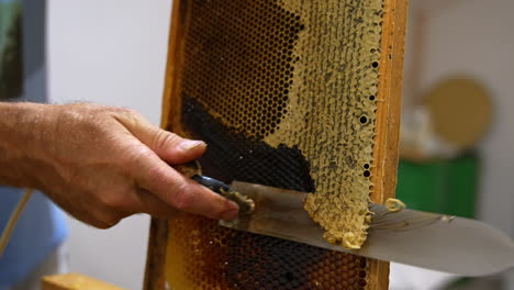 opening full sealed honey cells with sharp electric knife. male hand uses tool to cut the honeycombs tops. close up.