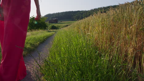 Eine-Frau-In-Einem-Roten-Kleid-Geht-Durch-Eine-Naturlandschaft