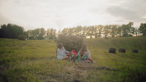 two sisters sit with children in countryside field, joyfully petting dog near hay bale, warm golden light creates serene, loving atmosphere