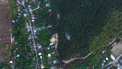 Top-View-Of-Lush-Green-Pine-Forest-On-The-Mountain-In-Sairme,-Georgia