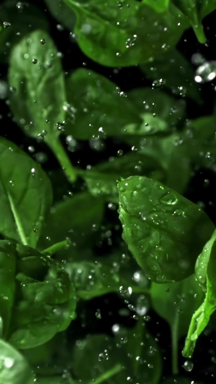 Schizzi d'acqua su foglie di spinaci freschi e verdi su sfondo nero