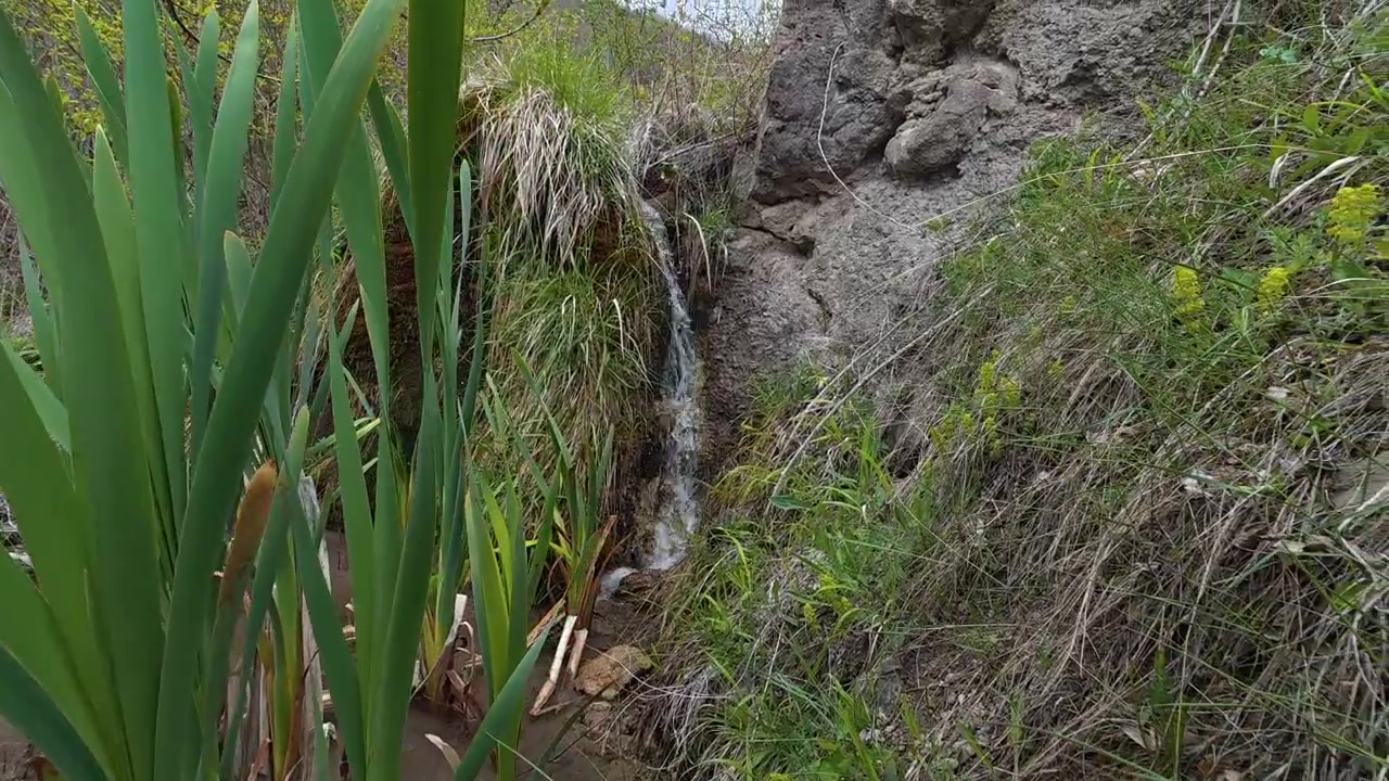 Air mengalir lembut melewati bebatuan di lingkungan alam yang tenang. Pepohonan hijau subur mengelilingi air terjun kecil yang indah.