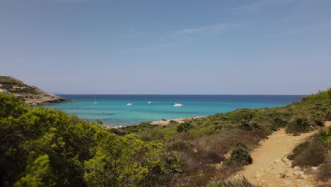 Drone-flight-through-a-tree-to-a-sunny-beach-on-Mallorca,-where-many-people-are-lying-and-enjoying-their-holiday