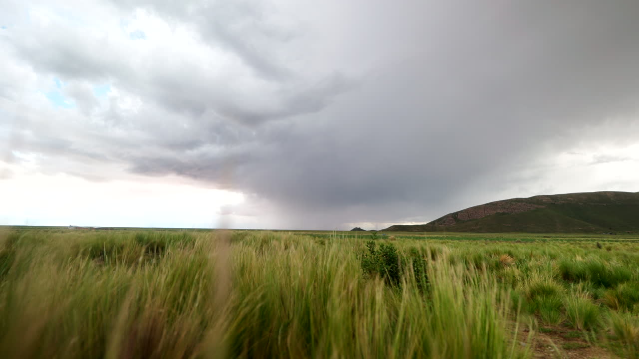 Swaying Grass Field Under A Stormy Cloudy Sky. Static Shot