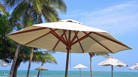 a single large beach umbrella dominates the foreground several beach umbrellas are in the background