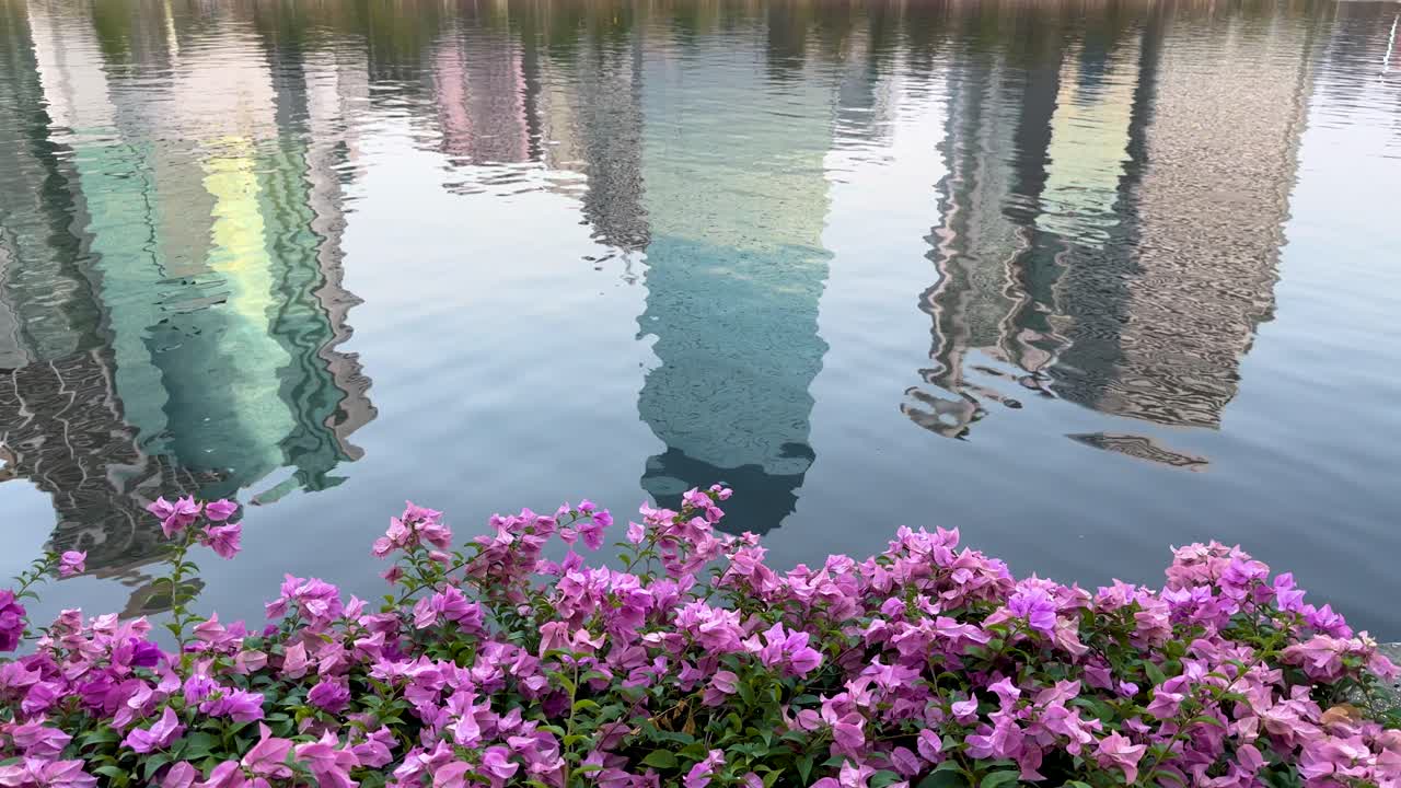 조용 한 물 에 있는 부겐빌라 와 마천루 반사