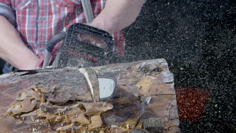 chainsaw cutting a log