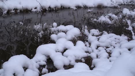 snowy creek