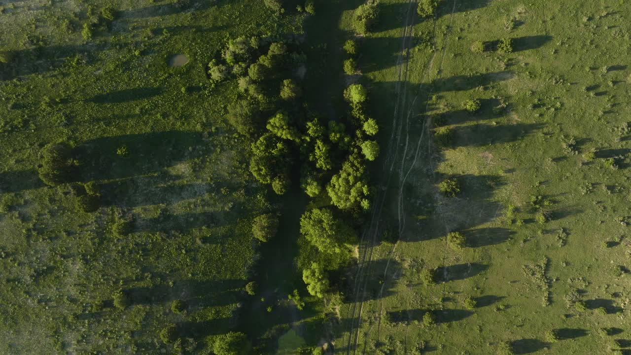 Aerial View of Green Field with Trees