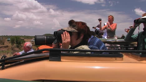 a group of on lookers watch as a herd of wildebeest cross a river