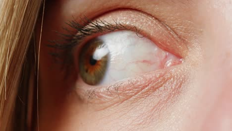 primer plano del ojo de una mujer.