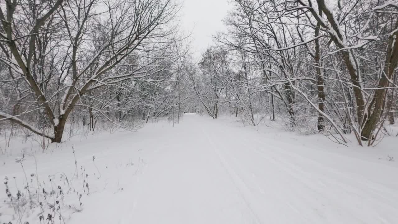 Winterbospad omgeven door sneeuw en vorst