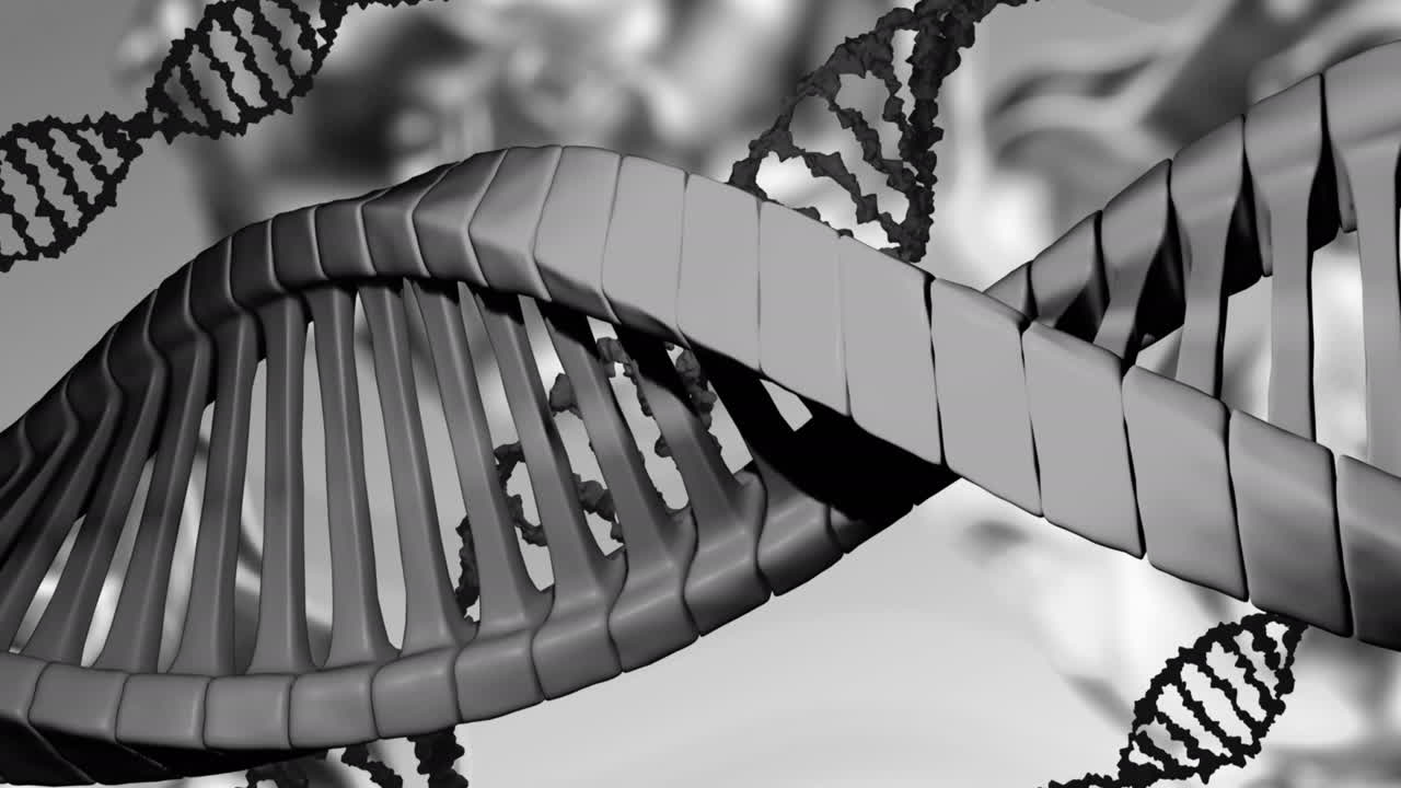 회색 배경 위에 회전하는 dna 줄의 매크로의 애니메이션